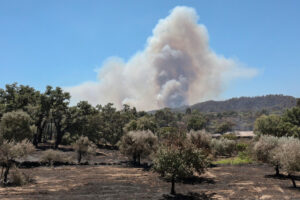 Vista de un incendio en Aldeia de Joao Pires (Portugal), en el mes de julio. EFE/ Carlos García/Archivo