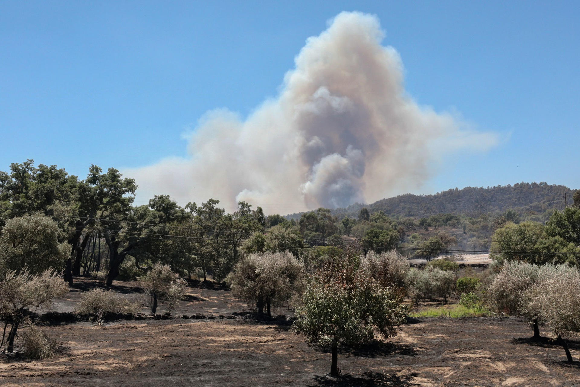 Vista de un incendio en Aldeia de Joao Pires (Portugal), en el mes de julio. EFE/ Carlos García/Archivo