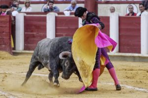El diestro Uceda Leal da un pase con el capote al segundo de su lote, durante el cuarto festejo de la feria de Valladolid celebrado Este sábado en la plaza de toros de la ciudad castellano-leonesa. EFE/Nacho Gallego