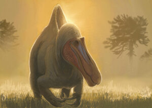 Reconstrucción artística de un espinosáurido. Un hallazgo de fósiles de Camarillasaurus cirugedae en el municipio turolense de Camarillas sugiere que dinosaurios carnívoros gigantes, propios del norte de África, como el icónico Spinosaurus, podrían tener raíces evolutivas en territorio europeo, y de forma especial en Teruel. El estudio, liderado por el paleontólogo Oliver Rauhut y el grupo Aragosaurus-IUCA de la Universidad de Zaragoza, analizó restos fósiles que incluyen mandíbula, dientes, vértebras, un fémur y una garra. EFE/ Joschua Knüppe SOLO USO EDITORIAL/SOLO DISPONIBLE PARA ILUSTRAR LA NOTICIA QUE ACOMPAÑA (CRÉDITO OBLIGATORIO)