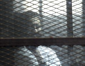El destacado activista y bloguero egipcio Alaa Abdelfatah, durante una sesión de su juicio en El Cairo el 23 de febrero de 2015. EFE/KHALED ELFIQI MEJOR CALIDAD DISPONIBLE[MEJOR CALIDAD DISPONIBLE]