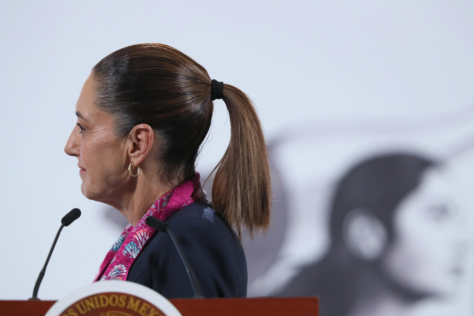 La presidenta de México, Claudia Sheinbaum, participa en una rueda de prensa este martes, en el Palacio Nacional de Ciudad de México (México). EFE/Mario Guzmán
