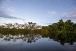 Fotografía de archivo que muestra una vista de las orillas de la Laguna Grande de Cuyabeno, en el Parque Nacional Yasuní (Ecuador). EFE/José Jácome
