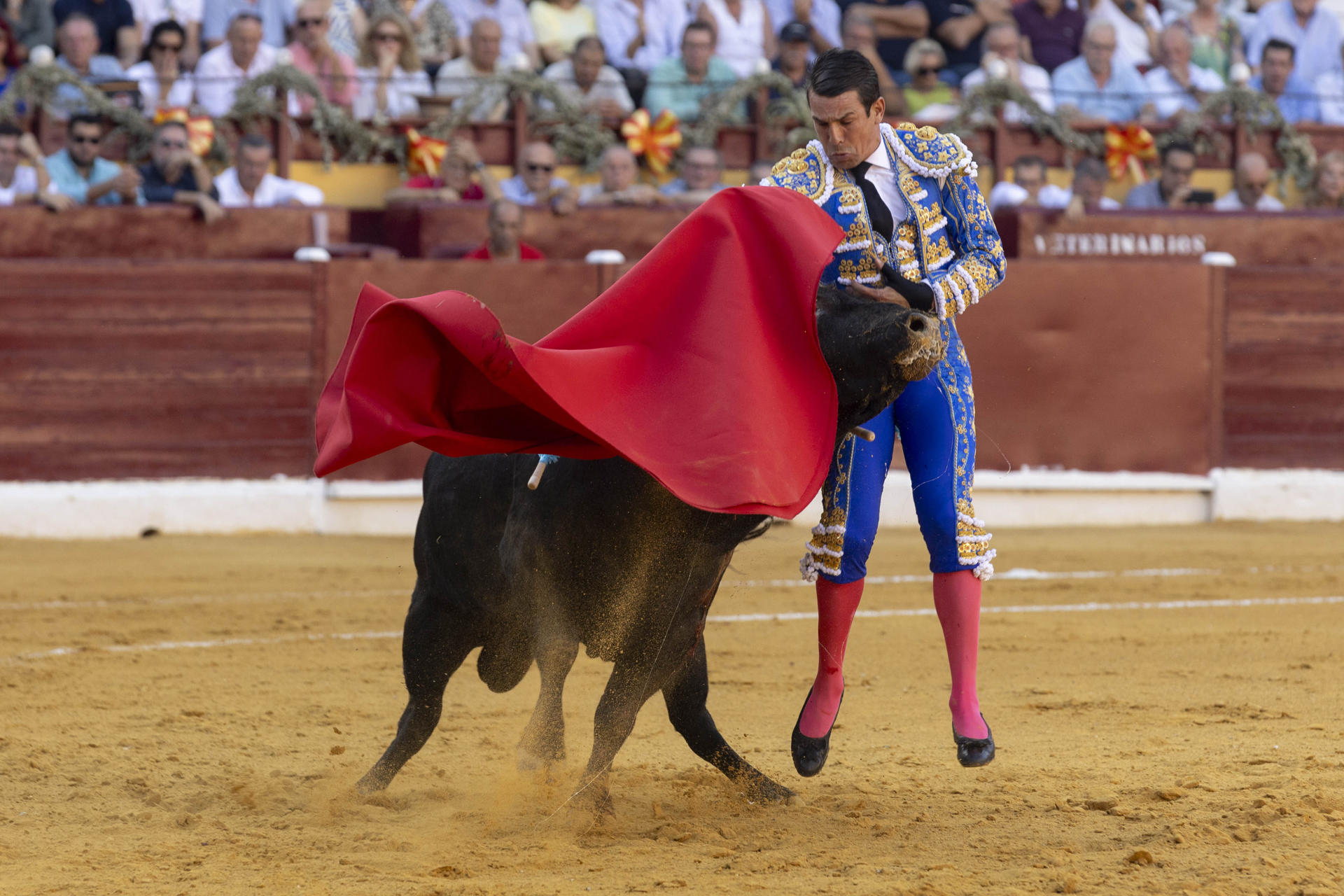 El torero alicantino José María Manzanares durante la lidia de su primer toro, de la ganadería de Daniel Ruiz, en el segundo festejo de la Feria Taurina de Murcia, este lunes en la plaza de toros de La Condomina. EFE/Marcial Guillén
