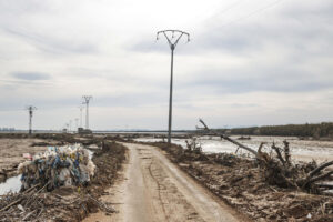 Fotografía de archivo de la Albufera de València el pasado mes de enero tras el paso de la dana del pasado 29 de octubre. EFE/Manuel Bruque