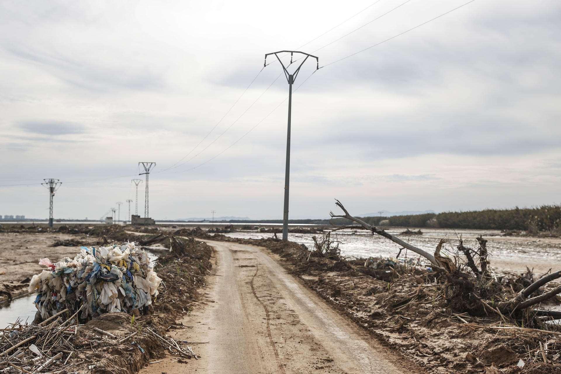 Fotografía de archivo de la Albufera de València el pasado mes de enero tras el paso de la dana del pasado 29 de octubre. EFE/Manuel Bruque