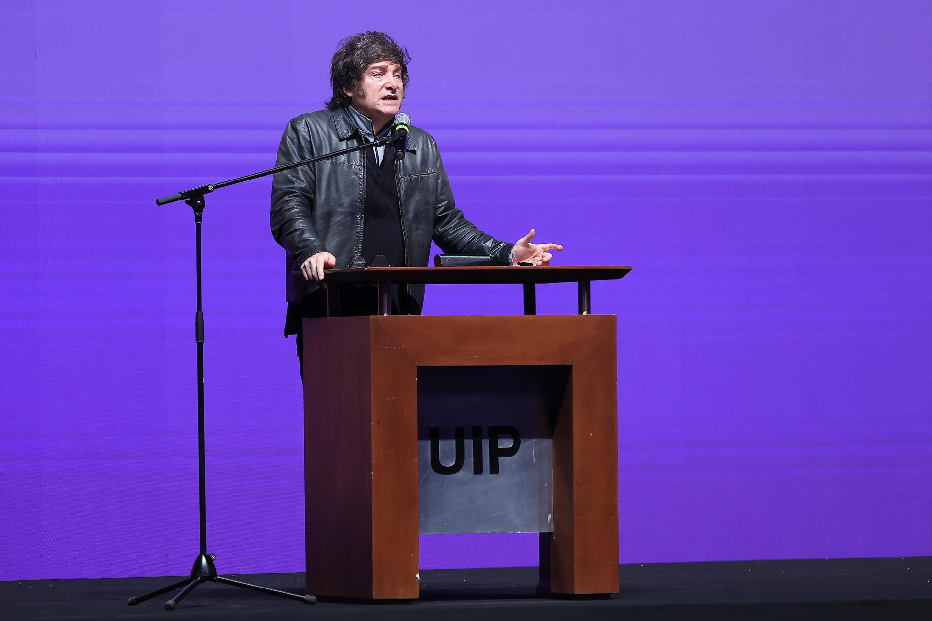El presidente de Argentina, Javier Milei, habla durante el Foro de Emprendedores Industriales de Paraguay 2025 este martes, en Asunción (Paraguay). EFE/ Eduardo Velázquez