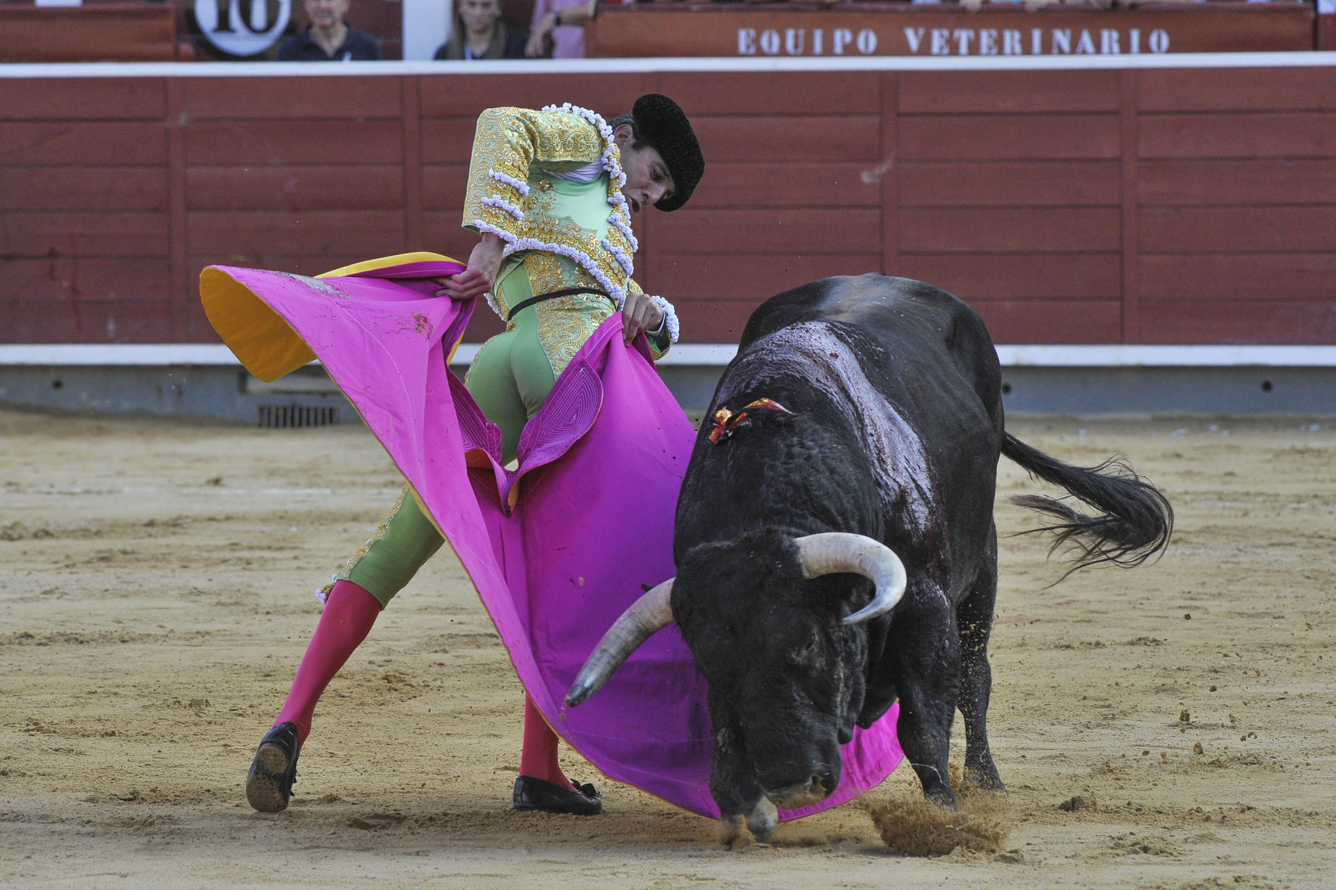 El diestro Juan Ortega da un pase con el capote a uno de los de su lote, durante la corrida celebrada este viernes en la plaza de toros de Albacete. EFE/Manu