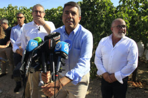 El president de la Generalitat, Carlos Mazón, en la plantación de uva D.O. Embolsada del Vinalopó, durante el acto del corte del primer racimo este jueves.EFE/ Morell