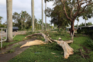 Fotografía de archivo de una zona afectada por el paso del Huracan Milton en Florida (Estados Unidos). EFE/ Octavio Guzmán