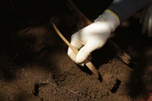Fotografía de archivo del detalle del trabajo de un investigador del Equipo Argentino de Antropología Forense (EAAF), durante una excavación la provincia de Buenos Aires (Argentina). EFE/Rodrigo Sura