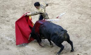 Fotografía de archivo que muestra al torero Moreno Muñoz en la temporada taurina de 2020, en la plaza de toros La Santamaría, de Bogotá (Colombia). EFE/ Carlos Ortega