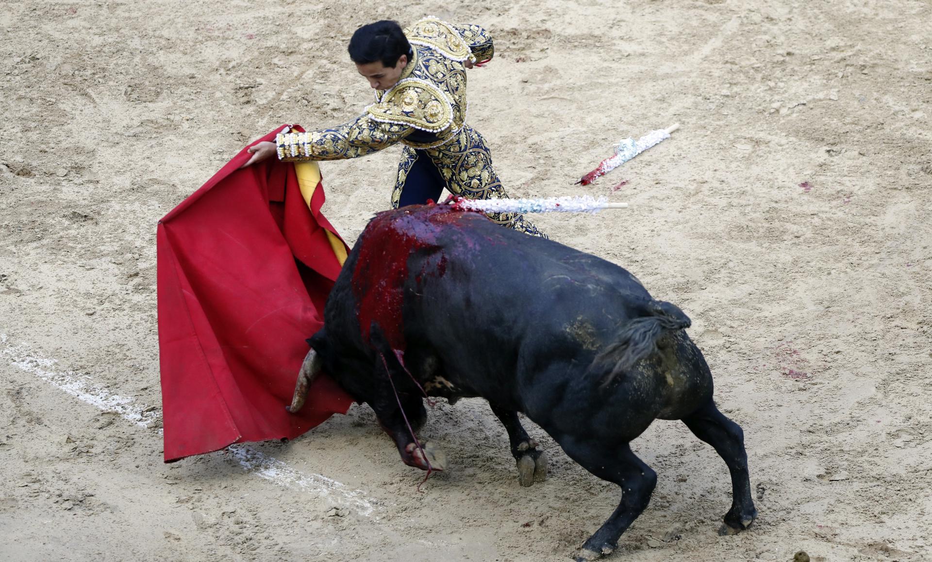 Fotografía de archivo que muestra al torero Moreno Muñoz en la temporada taurina de 2020, en la plaza de toros La Santamaría, de Bogotá (Colombia). EFE/ Carlos Ortega