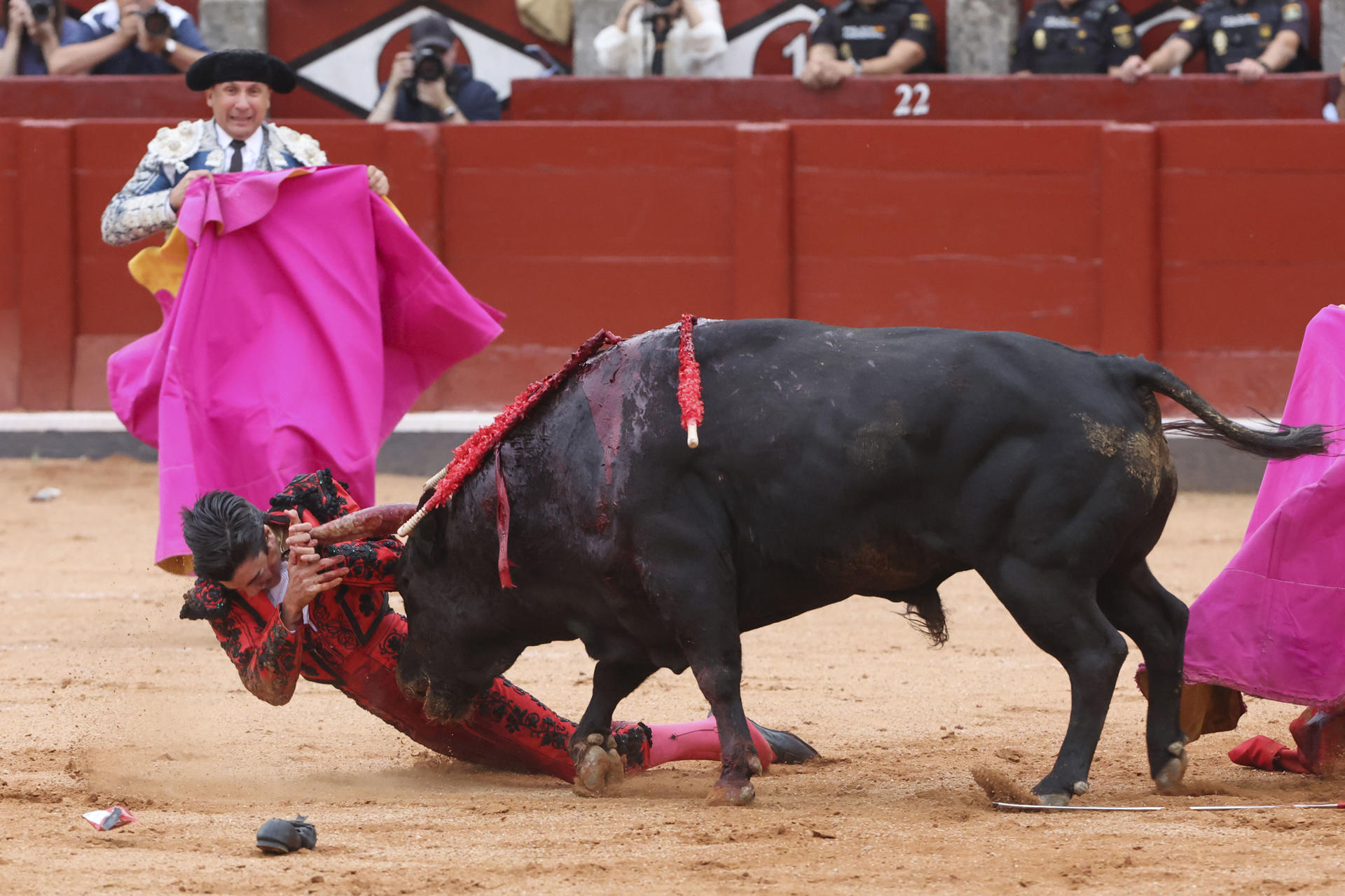 El diestro Marco Pérez recibe una cogida durante su faena en el tercer festejo de la Feria de Salamanca, con toros de García Jiménez, este viernes en la Plaza de toros La Glorieta. EFE/ JM García
