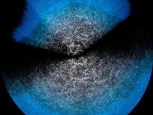 Como los modelos teóricos, el emulador Effort.jl utiliza ingentes cantidades de datos como los facilitados por DESI, el instrumento del NOIRLab que ha realizado el mapa 3D más grande del universo hasta la fecha y que estudia la materia oscura. Imagen fija de una rotación animada del mapa de datos de DESI del Año 3. Crédito: DESI  Collaboration/DOE/KPNO/NOIRLab/NSF/AURA/R.