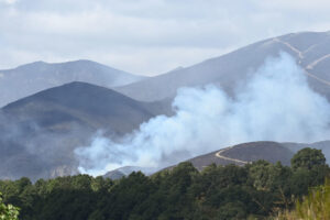 Fotografía de archivo de un incendio forestal el pasado mes de agosto en Fasgar (León). EFE/ J. Casares