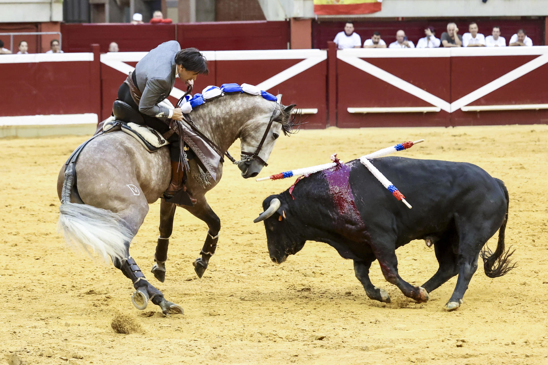 El rejoneador Diego Ventura lidia un toro este lunes, en la Feria de San Mateo, en la plaza de toros de La Ribera de Logroño. EFE/ Raquel Manzanares
