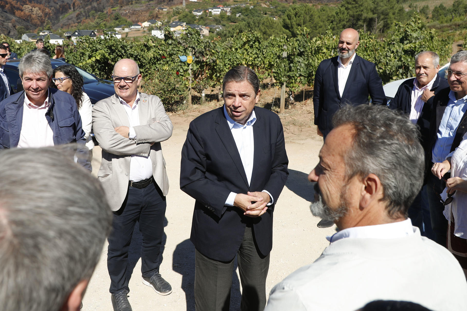 El ministro de Agricultura, Pesca y Alimentación, Luis Planas (c), visita la Bodega Alan de Val en A Rúa, Ourense, mientras visita este jueves zonas afectadas por los incendios forestales en Galicia este verano. EFE/Eliseo Trigo

