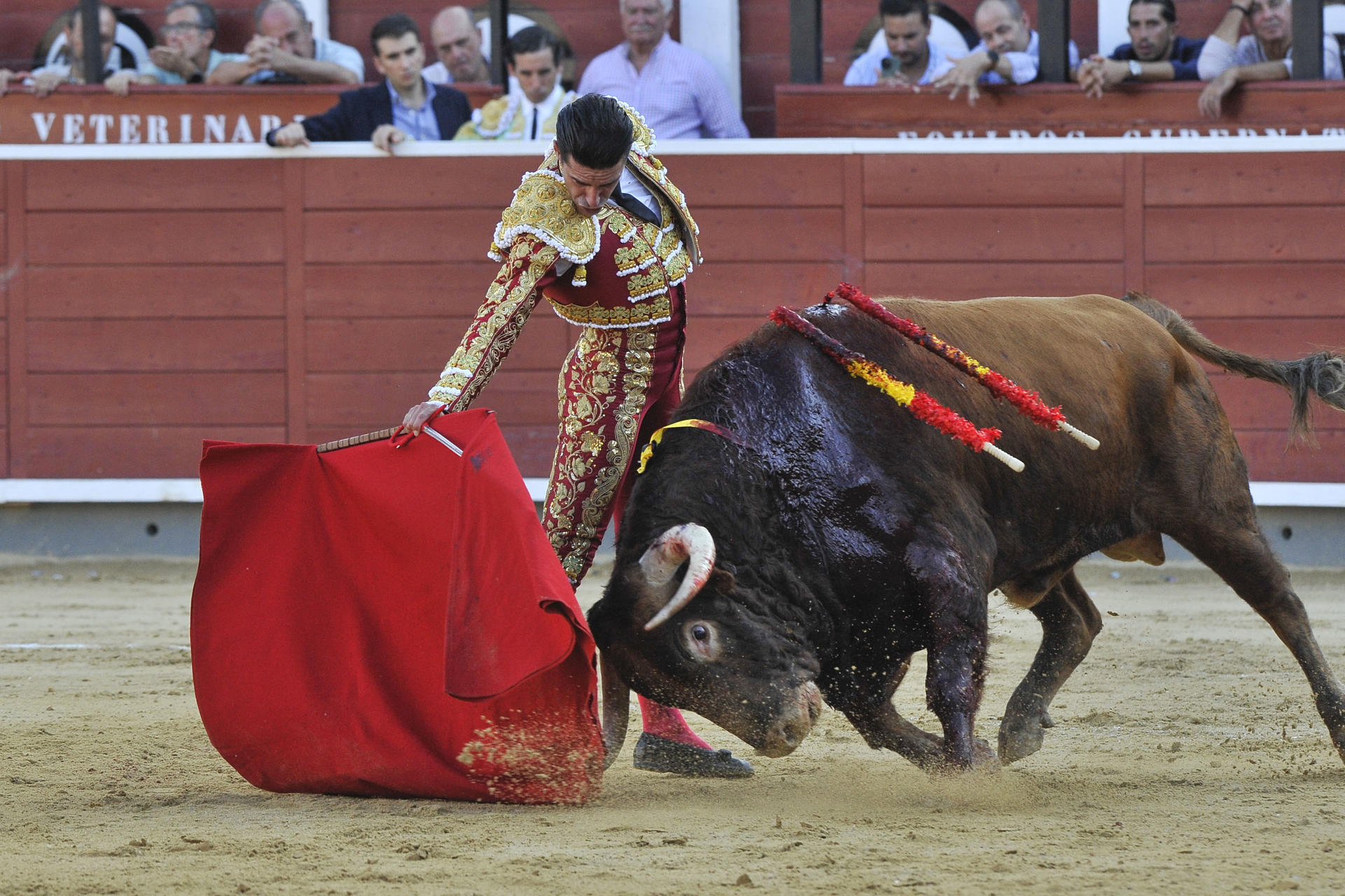 El diestro Alejandro Talavante da un pase con la muleta a uno de los de su lote, durante la corrida celebrada este viernes en la plaza de toros de Albacete. EFE/Manu