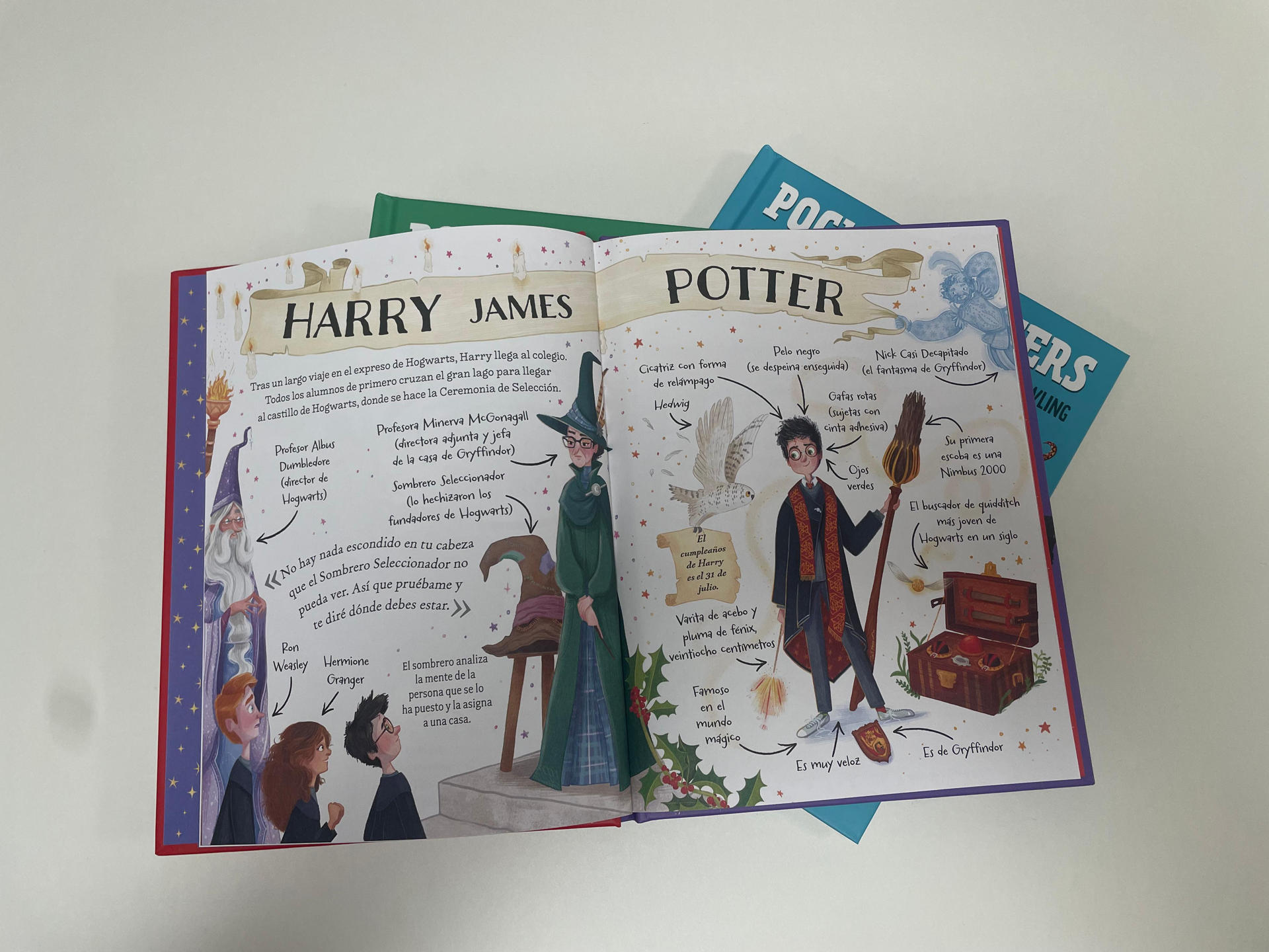 MADRID, 06/09/2025.- La fantasía nunca pasa de moda y la literatura infantil vuelve este otoño con criaturas mágicas, dragones y brujas, pero también aventuras por la vuelta al cole y el lanzamiento este mes de la colección Pocket Potter con historias de Harry Potter adaptadas, por primera vez, a los pequeños. Uno de los lanzamientos estrellas de este mes es la nueva serie ilustrada de Harry Potter. La editorial Salamandra, sello de Penguin Random, publica tres títulos: Harry Potter, Ron Weasley y Hermione Granger, inspirada en los libros originales de J.K.Rowling y dirigida a niños a partir de 7 años. EFE/ Penguin Random House SOLO USO EDITORIAL/SOLO DISPONIBLE PARA ILUSTRAR LA NOTICIA QUE ACOMPAÑA (CRÉDITO OBLIGATORIO)