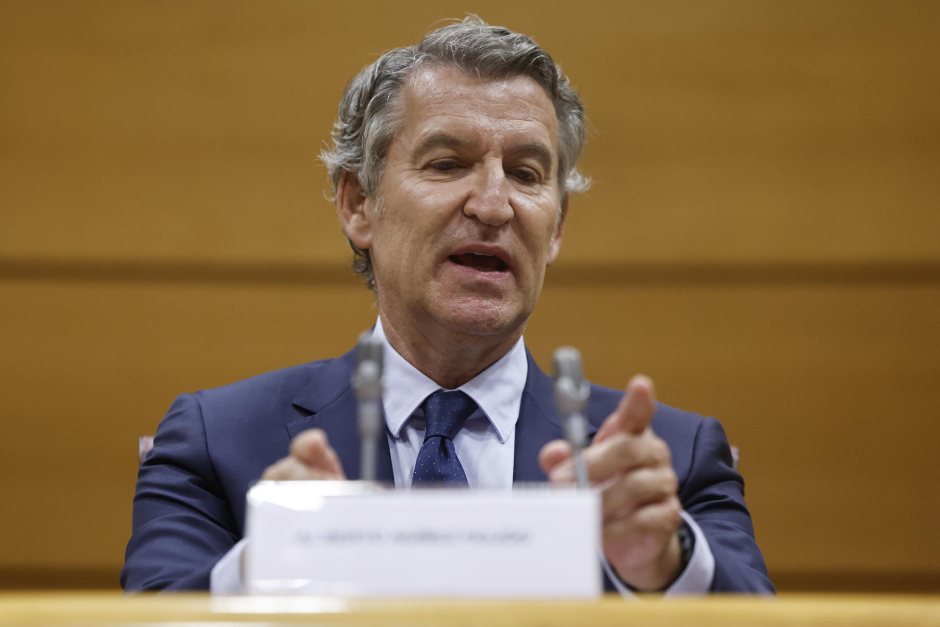 El líder del PP, Alberto Núñez Feijóo este martes en el Senado. EFE/ Sergio Pérez
