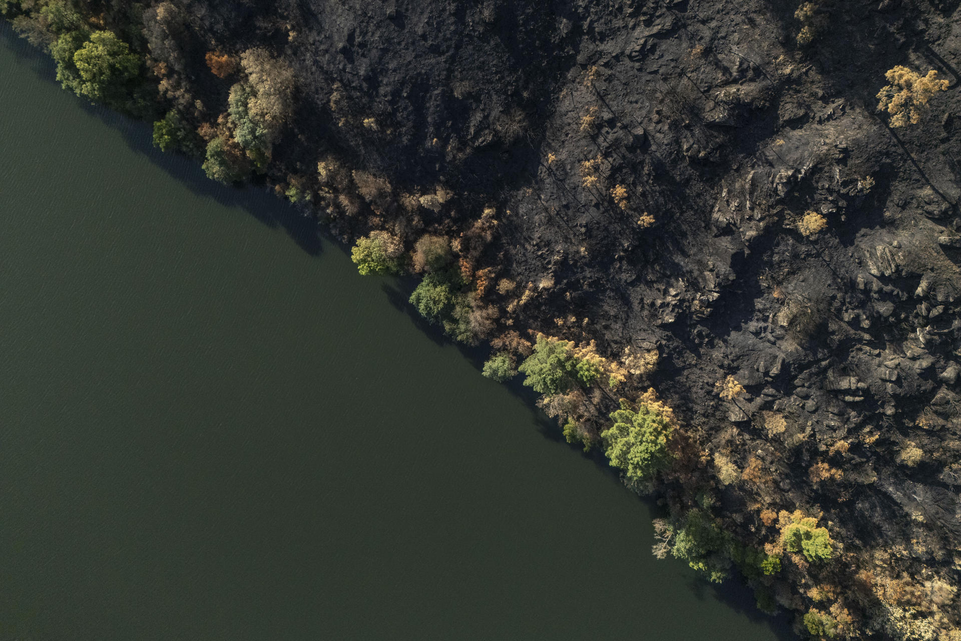 En la imagen, vista del río Sil, árboles afectados y superficie calcinada en A Rúa (Ourense), en el mayor incendio en la historia de Galicia desde que hay registros. Arrasó más de 30.000 hectáreas. EFE // Brais Lorenzo