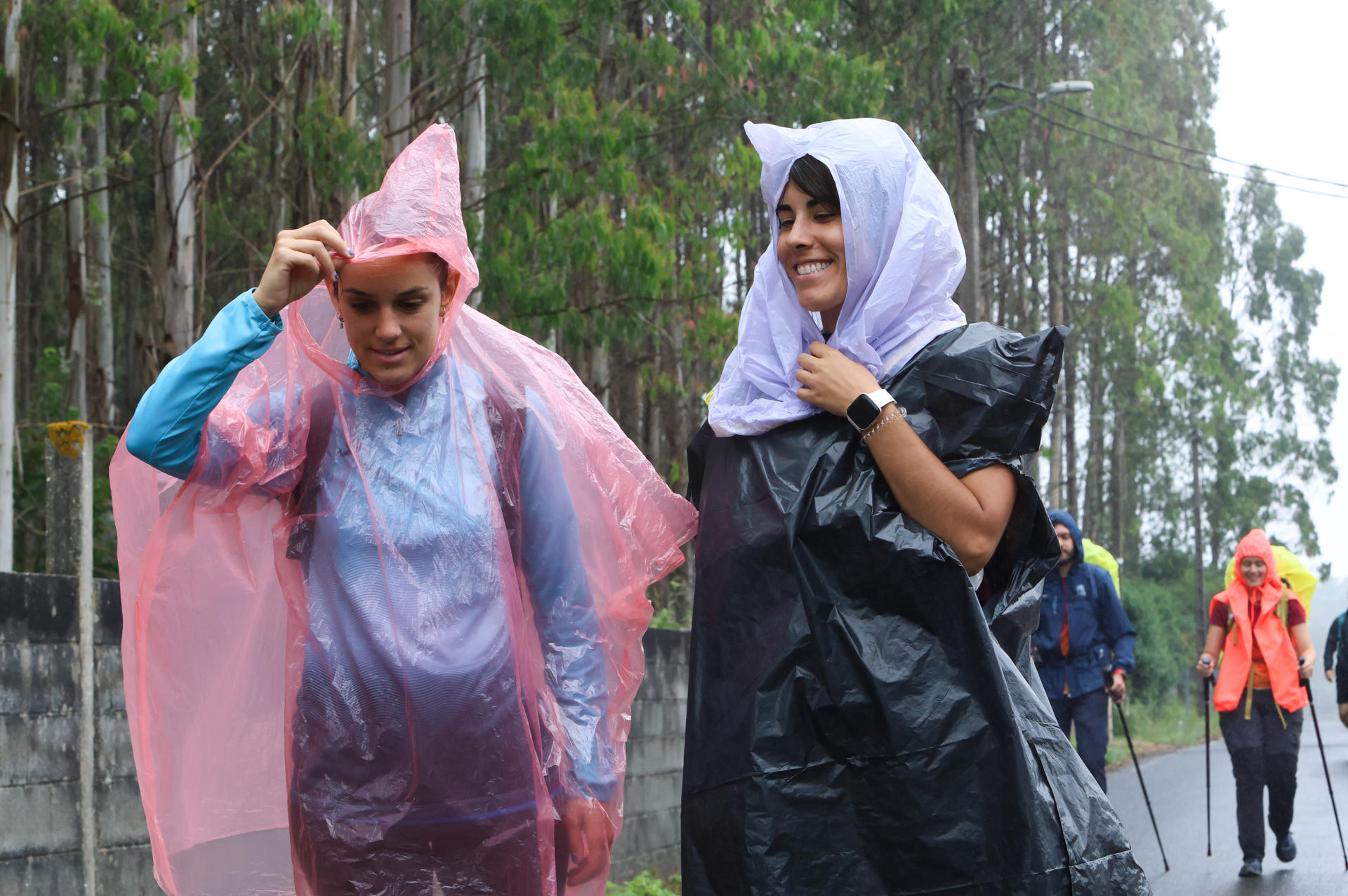 Peregrinos recorriendo en julio pasado el Camino Francés, protegidos de la lluvia, antes de su llegada a Santiago de Compostela. EFE/Xoán Rey
