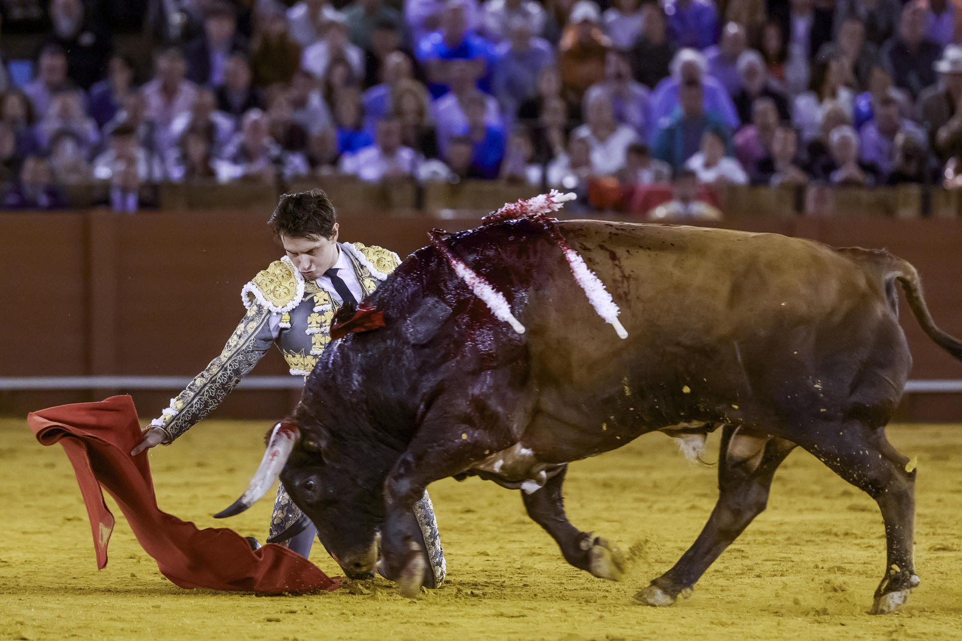 El diestro Roca Rey lidia su segundo toro en la corrida de la Feria de San Miguel que se ha celebrado en la Plaza de Toros de La Maestranza de Sevilla. EFE/ Raúl Caro