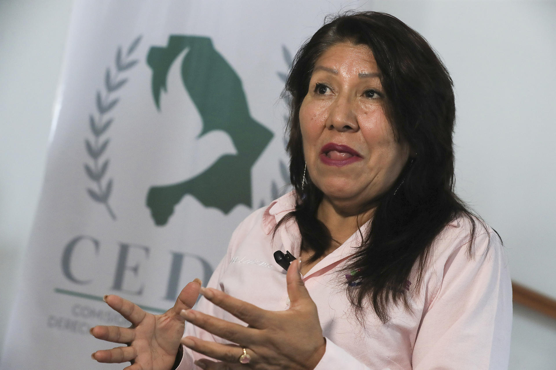 La comisionada ejecutiva de Atención a Víctimas del estado de Chihuahua, Norma Ledezma, habla durante una entrevista con EFE, este miércoles en Ciudad Juárez (México). EFE/ Luis Torres