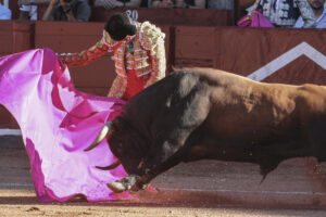 El diestro Emilio de Justo durante su faena en el segundo festejo de la Feria de Salamanca, con toros de Garcigrande, este domingo en la Plaza de toros La Glorieta.- EFE/ JM García