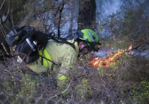 Imagen de archivo de las labores de extinción de un incendio forestal en Huelva. EFE/Julián Pérez