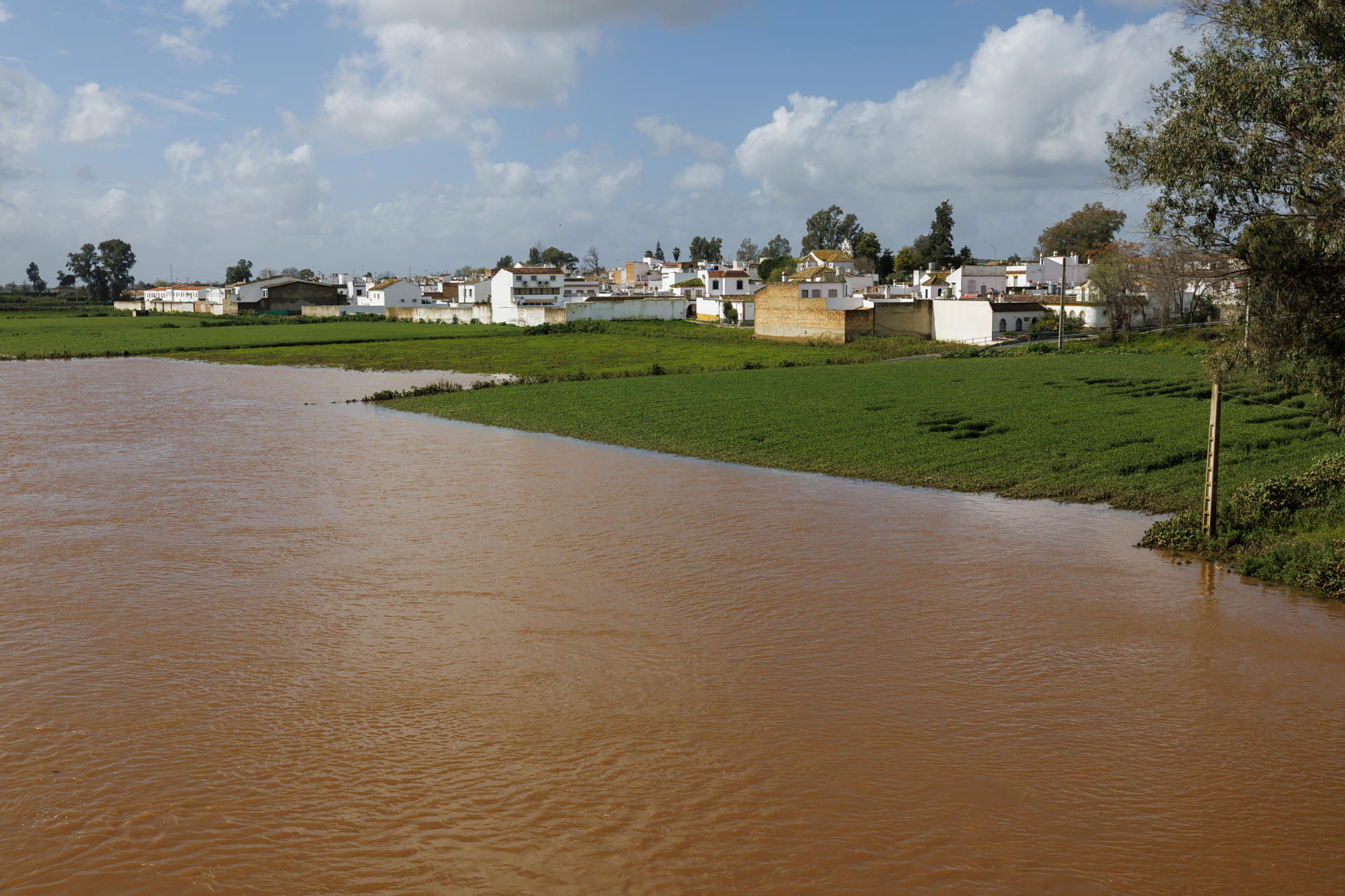 Viviendas cercanas a la orilla del Río Víar en Cantillana (Sevilla). EFE/Julio Muñoz