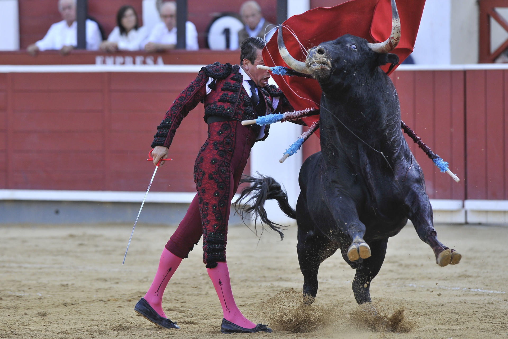l diestro José María Manzanares da un pase con la muleta a uno de los de su lote, durante la corrida celebrada este viernes en la plaza de toros de Albacete. EFE/Manu