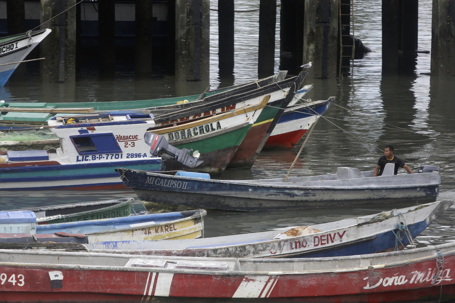 Un pescador trabaja en un muelle este miércoles, en Ciudad de Panamá (Panamá). EFE/ Carlos Lemos