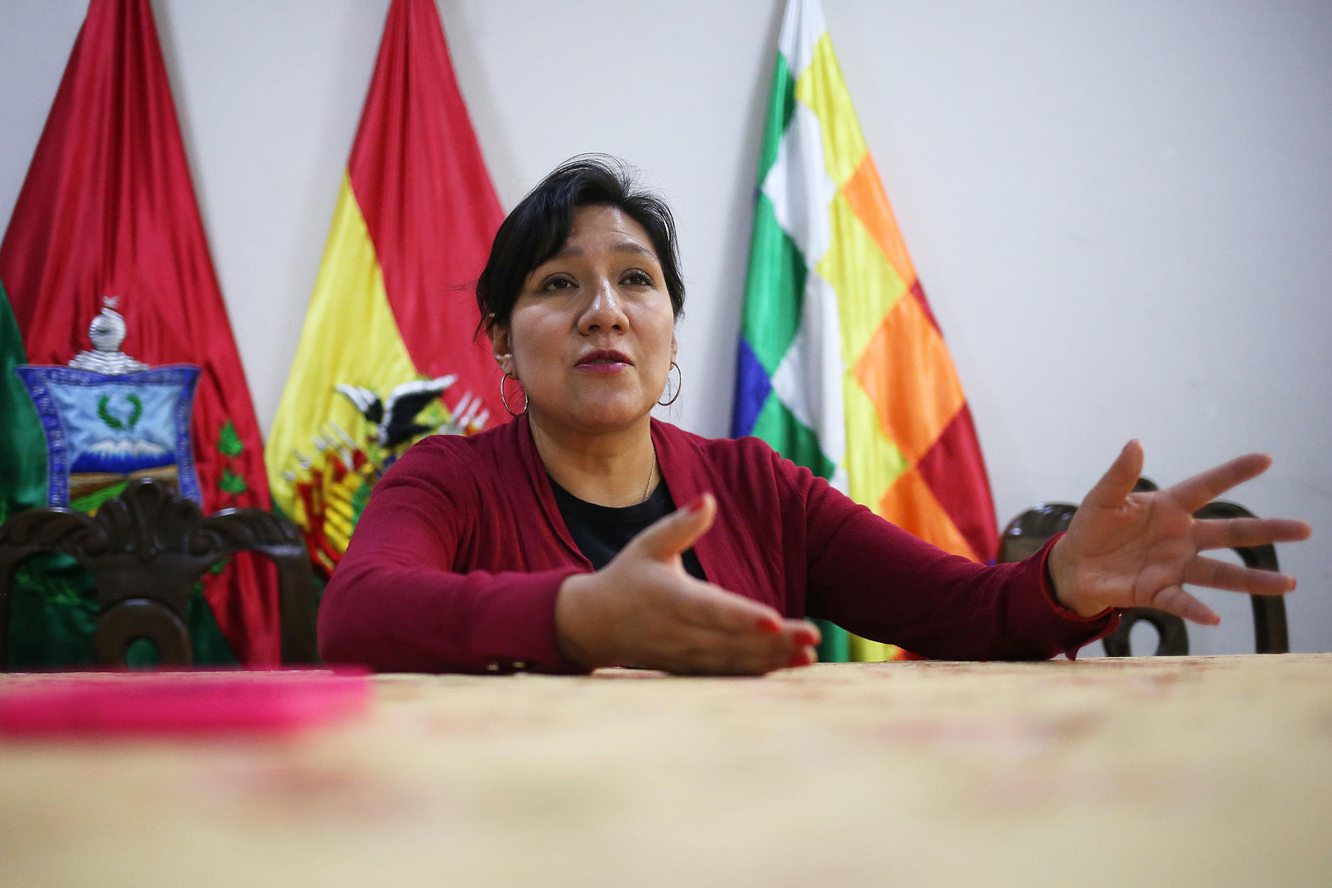 Samanta Coronado, asambleísta departamental por La Paz, fue captada el pasado 4 de septiembre, durante una entrevista con EFE, en La Paz (Bolivia). EFE/Luis Gandarillas