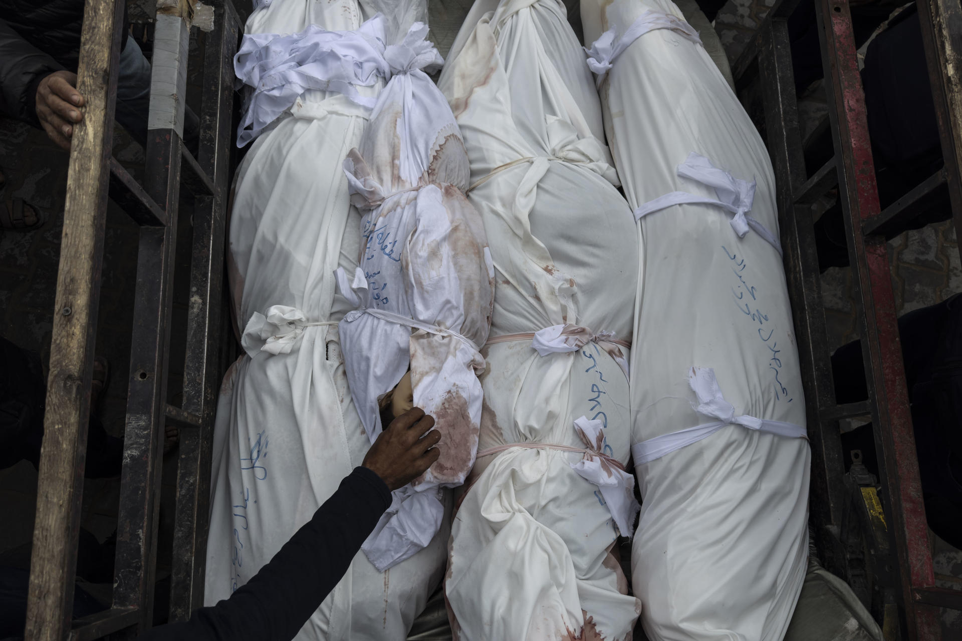 Un niño pequeño entre los cadáveres de varias víctimas de una ofensiva en la localidad de Beit Lahia, en el extremo norte de la Franja de Gaza, el 20 de marzo de 2025. EFE/ Ahmad Awad