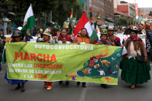 Personas con máscaras de animales muestran un cartel en una marcha convocada por pueblos indígenas, contra los incendios forestales este lunes, en La Paz ( Bolivia). EFE/ Luis Gandarillas