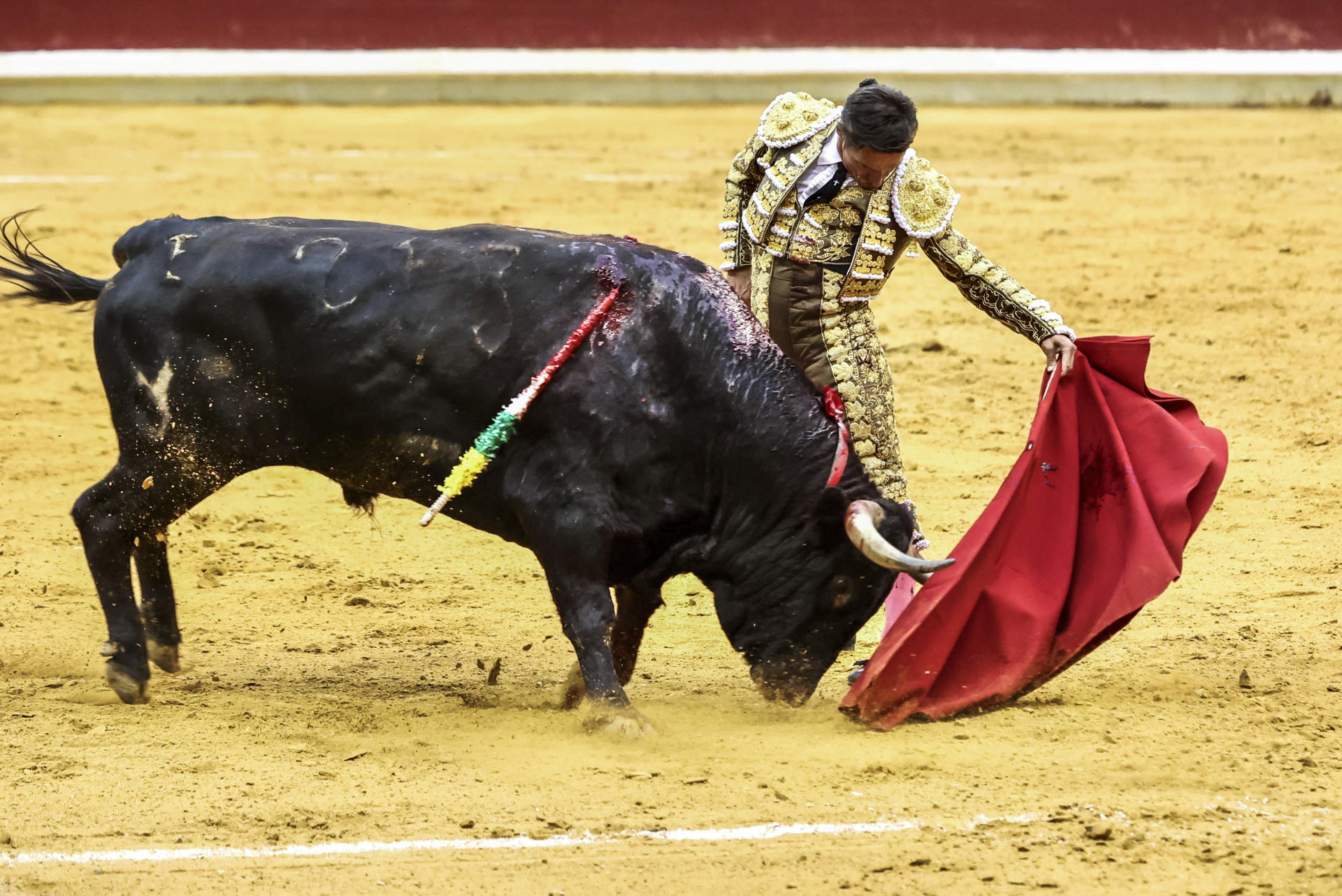 El diestro Diego Urdiales lidia un toro de la ganadería de Núñez del Cuvillo, durante un mamo a mano con Aarón Palacios en el marco de la Feria de San Mateo, este martes en la plaza de toros La Ribera de Logroño. EFE/ Raquel Manzanares

