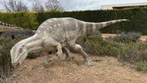 Reconstrucción escultórica del ornitópodo Oblitosaurus bunnueli en Dinópolis (Teruel, España). Científicos de la Fundación Conjunto Paleontológico de Teruel-Dinópolis y del Museo Paleontológico de Alpuente han descubierto nuevos fósiles de dinosaurios herbívoros en yacimientos de Teruel y Valencia, que pertenecen al Jurásico Superior, hace unos 150 millones de años. EFE/Fundación Dinópolis / SOLO USO EDITORIAL/SOLO DISPONIBLE PARA ILUSTRAR LA NOTICIA QUE ACOMPAÑA (CRÉDITO OBLIGATORIO)