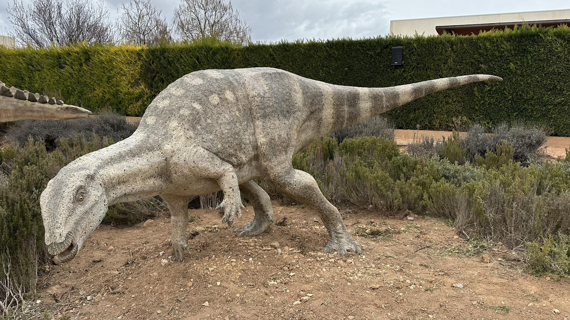 Reconstrucción escultórica del ornitópodo Oblitosaurus bunnueli en Dinópolis (Teruel, España). Científicos de la Fundación Conjunto Paleontológico de Teruel-Dinópolis y del Museo Paleontológico de Alpuente han descubierto nuevos fósiles de dinosaurios herbívoros en yacimientos de Teruel y Valencia, que pertenecen al Jurásico Superior, hace unos 150 millones de años. EFE/Fundación Dinópolis / SOLO USO EDITORIAL/SOLO DISPONIBLE PARA ILUSTRAR LA NOTICIA QUE ACOMPAÑA (CRÉDITO OBLIGATORIO)
