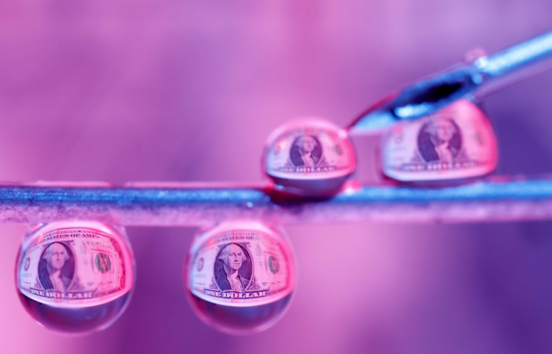 Fotografía que muestra billetes de un dolar reflejados en gotas de agua este lunes, en San José (Costa Rica). EFE/ Jeffrey Arguedas