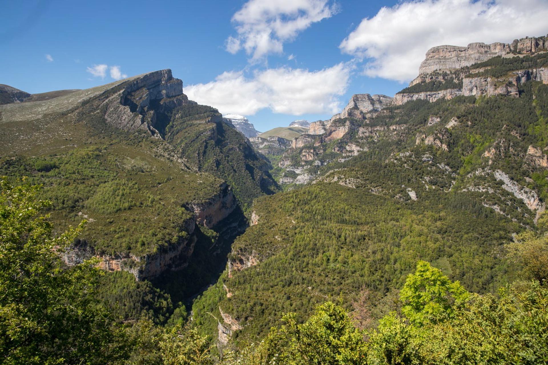 Vista del Cañón de Añisclo en los Pirineos-Monte Perdido de Aragón, en una imagen de archivo. EFE/Javier Cebollada