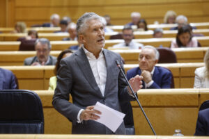 El ministro de Interior, Fernando Grande- Marlaska interviene en el pleno del Senado, este martes. EFE/ Rodrigo Jimenez