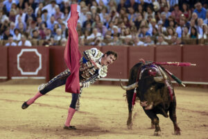 El diestro Daniel Luque en su faena durante la Feria de San Miguel que se celebra hoy sábado en la plaza de toros de La Maestranza, en Sevilla. EFE / Julio Muñoz.