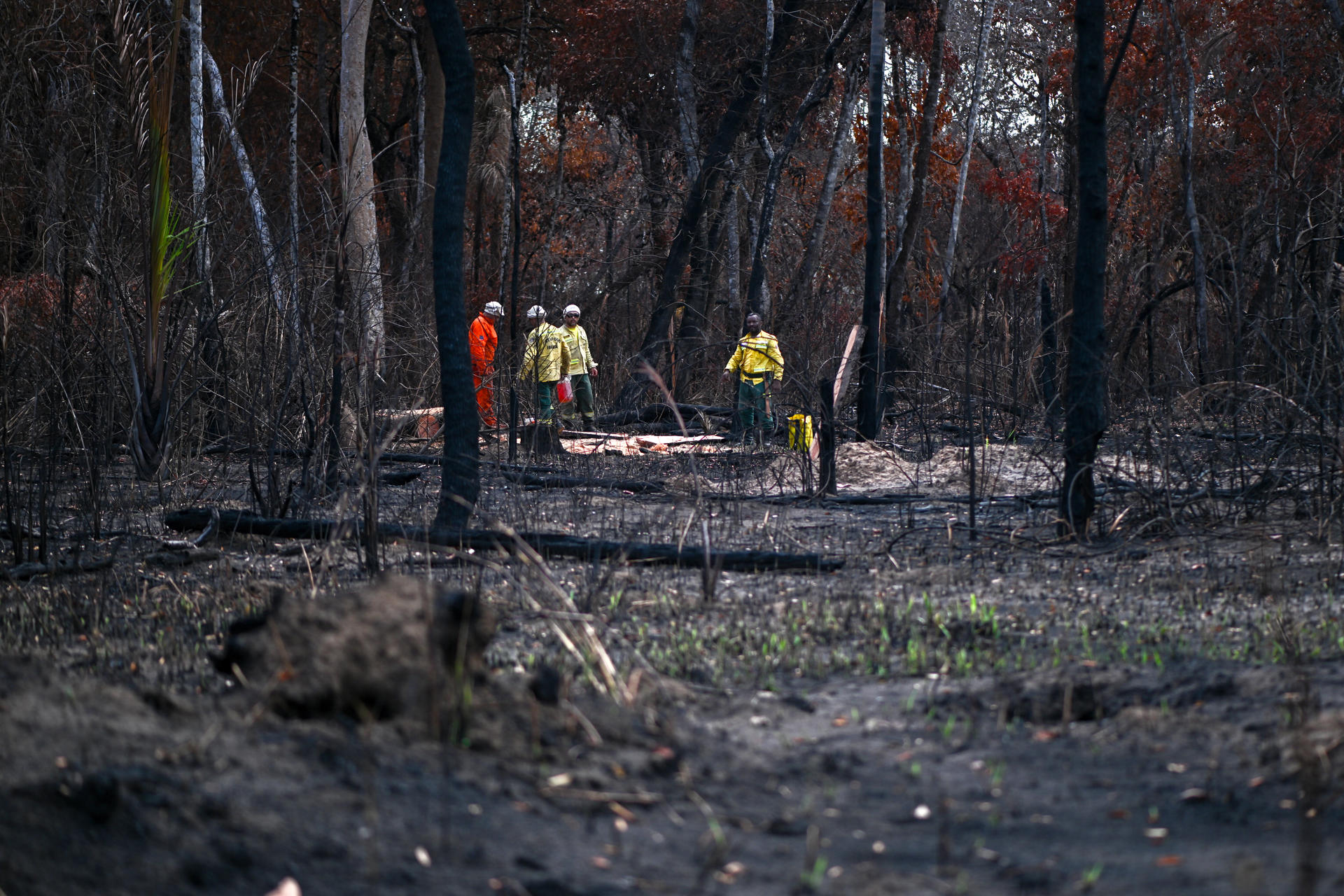 Brigadistas del Centro Nacional de Prevención y Combate de Incendios Forestales (Prevfogo), trabajan en la contención de un incendio el 26 de septiembre de 2025 en la aldea Kaluani-Paraiso, cerca del municipio de Gaúcha do Norte, en el Parque Indígena Xingu, estado de Mato Grosso (Brasil). EFE/Andre Borges
