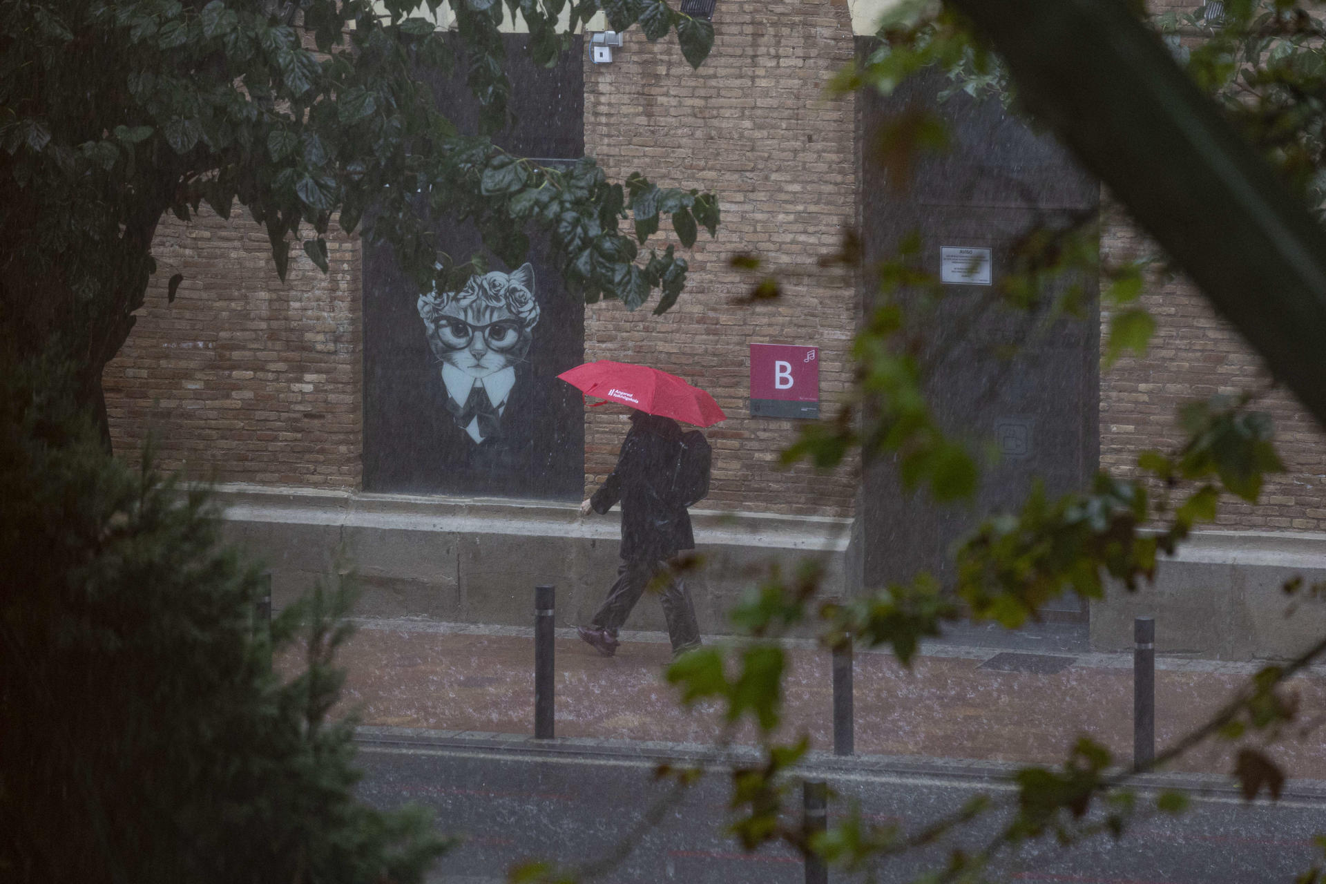 Una mujer se protege de la intensa lluvia con un paraguas este jueves en Murcia. EFE/Marcial Guillén
