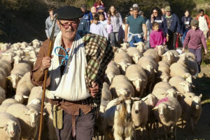 La Venta de Piqueras, en el municipio de Lumbreras (La Rioja), ha rememorado este sábado, durante la XIX Fiesta de la Trashumancia, el viaje que cada otoño hacían los pastores con sus rebaños desde la sierra riojana hacia los pastos extremeños. EFE/ Raquel Manzanares.
