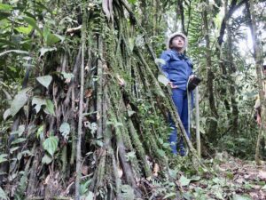 Fotografía de archivo de una investigadora al trabajar en el Parque Nacional Yasuní (Ecuador). EFE/Fernando Gimeno