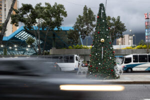 Fotografía que muestra un árbol de navidad este martes, en Caracas (Venezuela). EFE/ Ronald Peña R