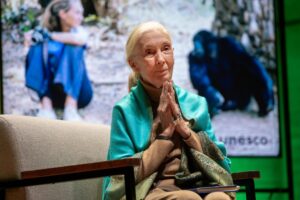 Imagen de archivo de la etóloga y medioambientalista británica Dr. Jane Goodall . EFE/EPA/CHRISTOPHE PETIT TESSON